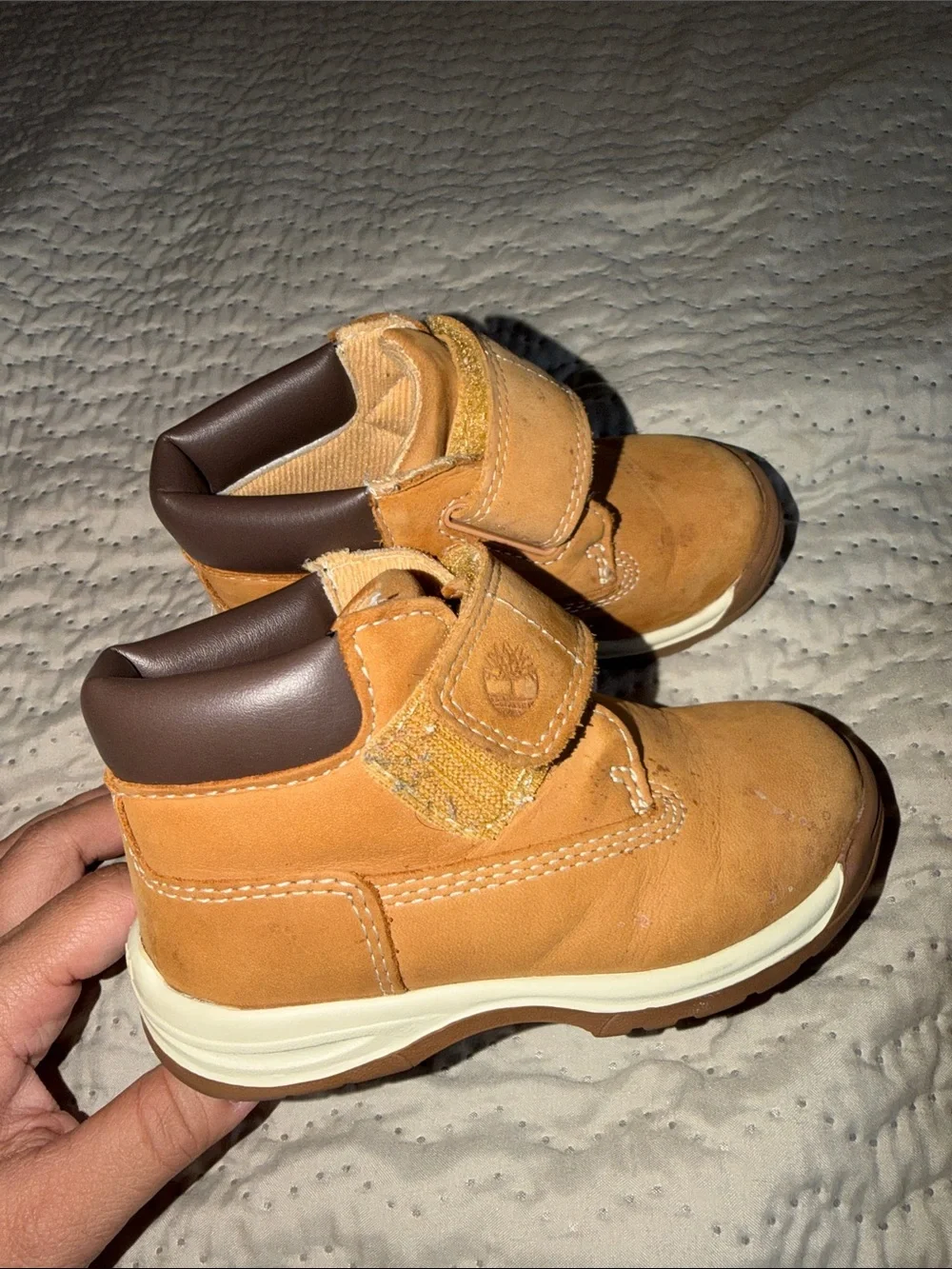 Timberland Tykes Toddler Boy Boots